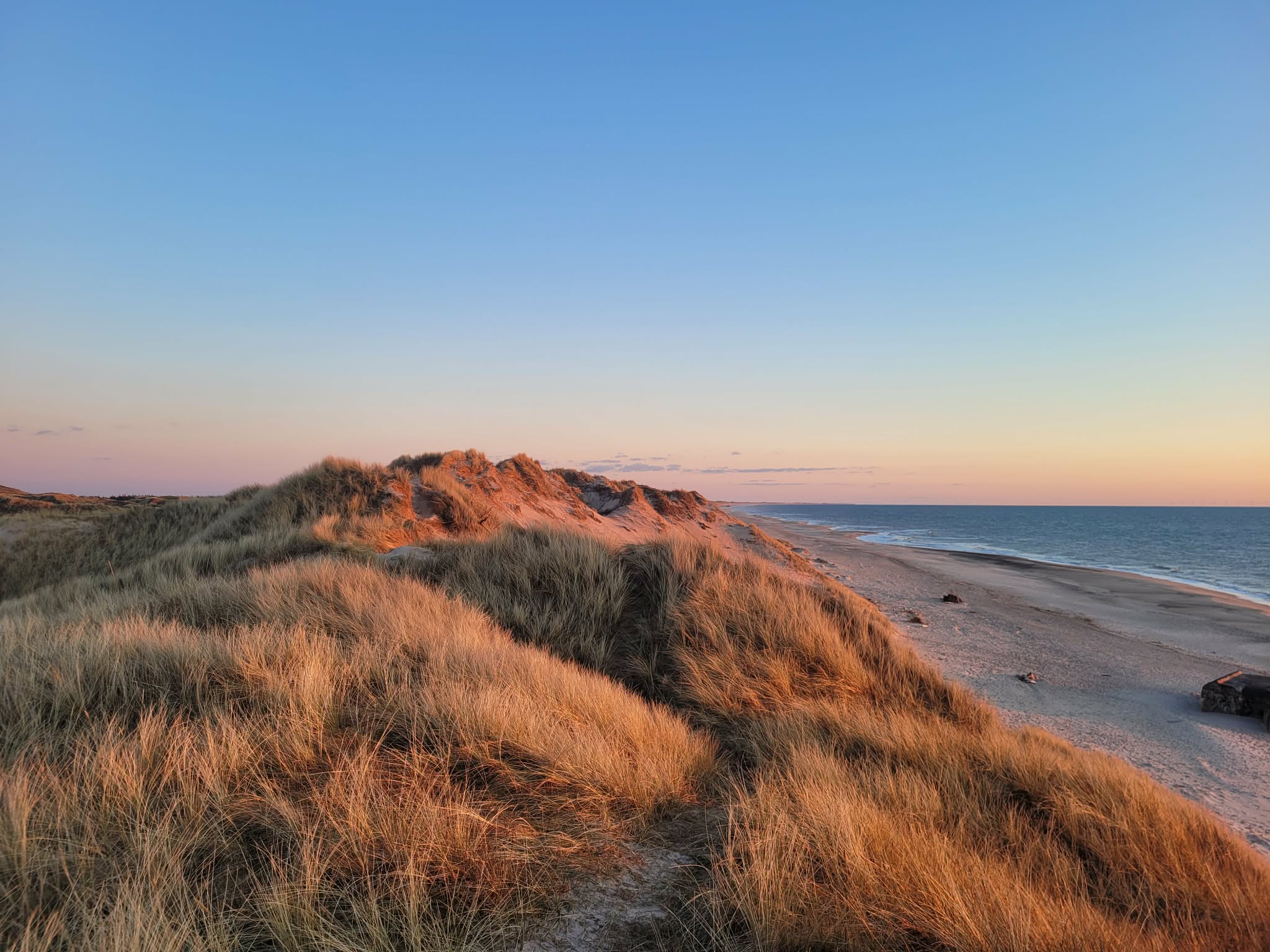 Naturbillede som symboliserer tilgang